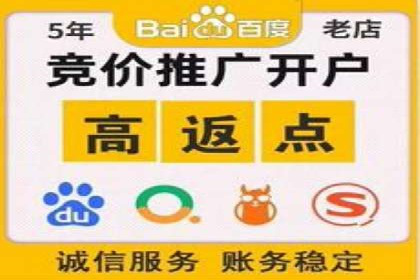 竞价广告的技巧与策略：网络推广的经典案例分享